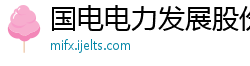 国电电力发展股份公司